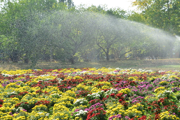 节水灌溉技术在花卉行业的应用优势及现状